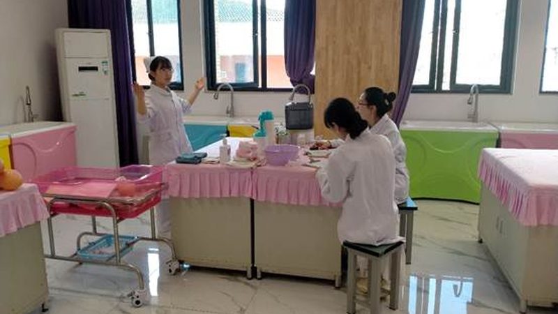 小标题：月嫂中介行业现状解析
